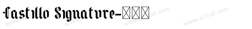 Castillo Signature字体转换